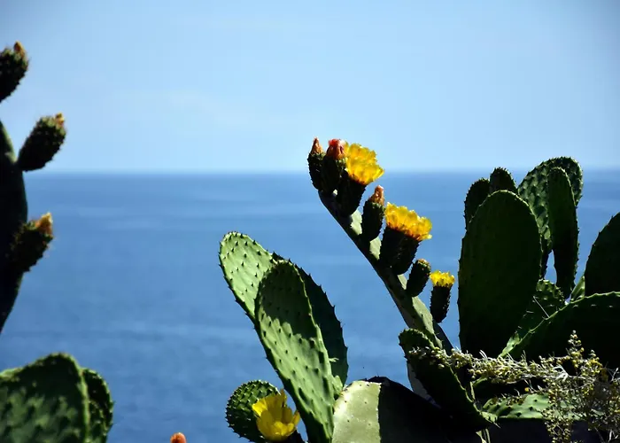 Incantevole appartamento sul mare